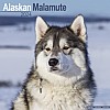 Alaskan Malamute Calendar